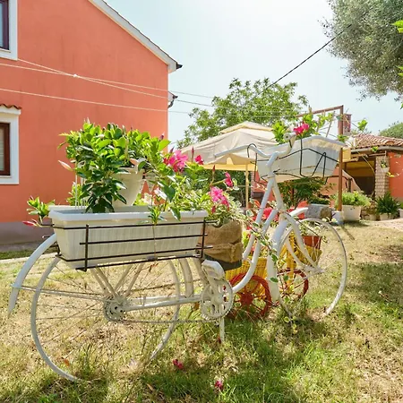 7867c Apartman